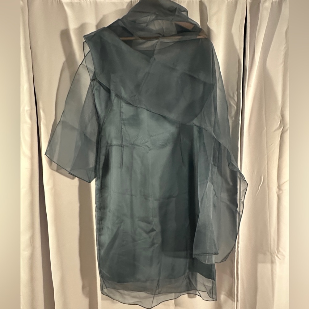 Selia Yang Sheer Blue Dress with Shawl